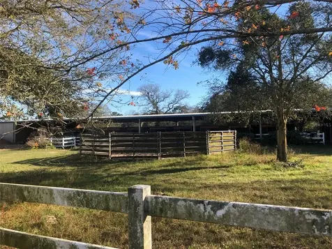14871 SW 20th Place Ocala FL 34481