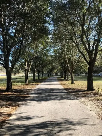 14871 SW 20th Place Ocala FL 34481