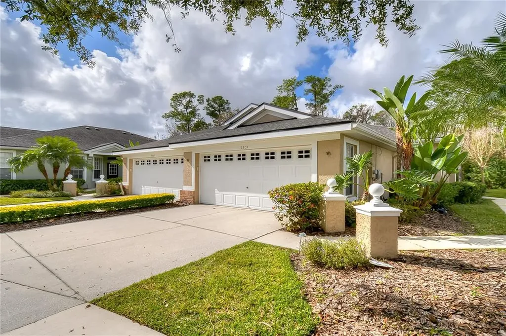 9805 Gingerwood Drive Tampa FL 33626