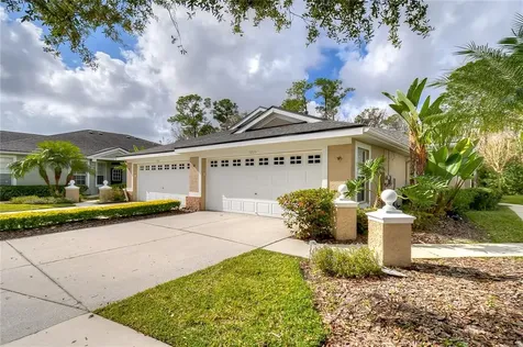 9805 Gingerwood Drive Tampa FL 33626