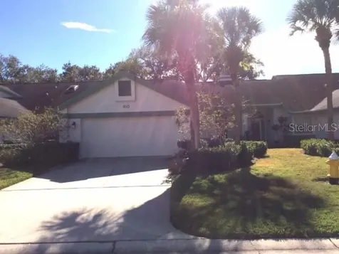 60 Woodridge Court Oldsmar FL 34677