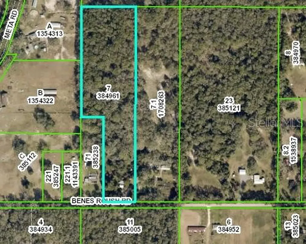 17041 Benes Roush Road Brooksville FL 34604