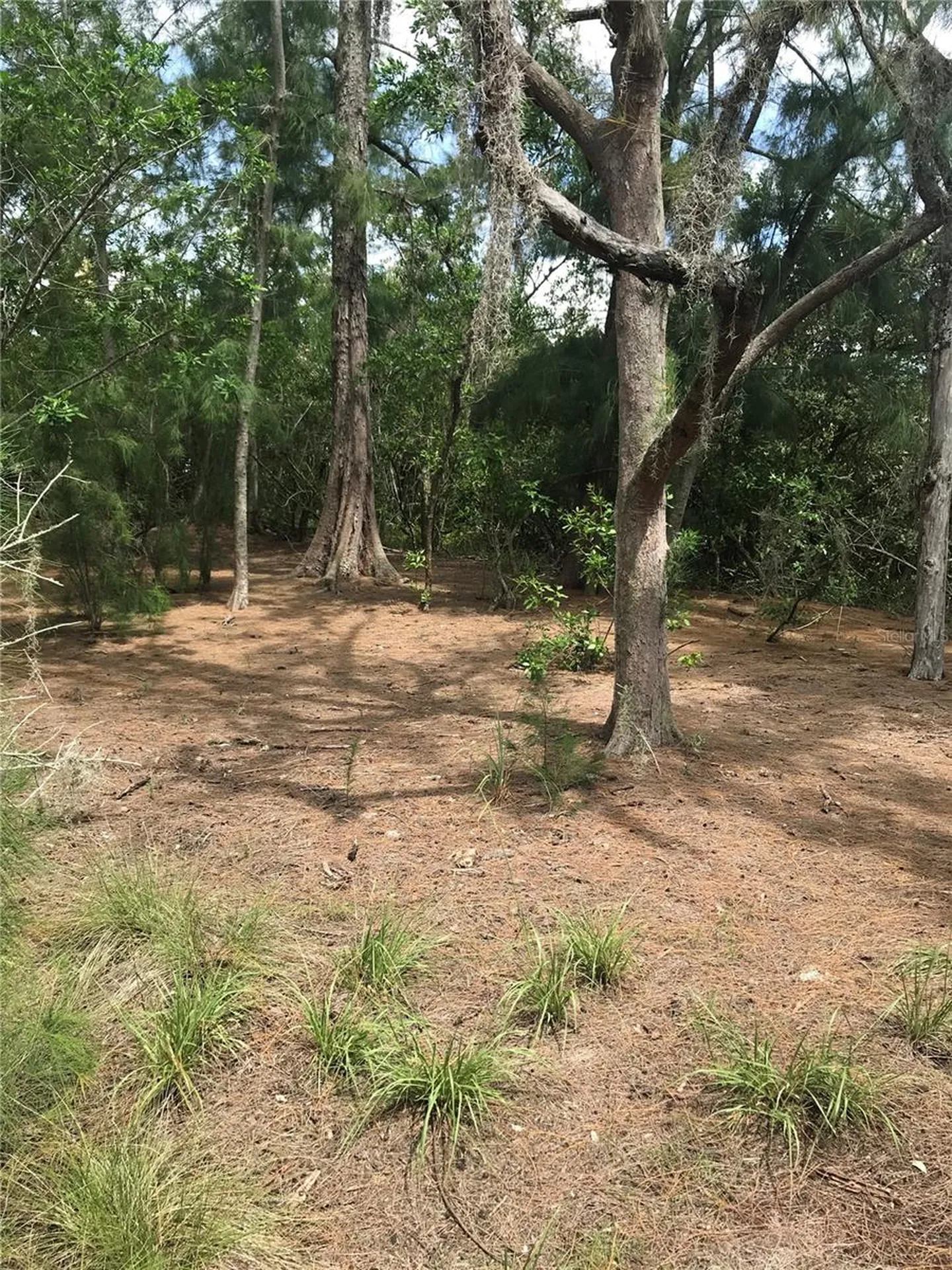 1250 Beach Road Englewood FL 34223
