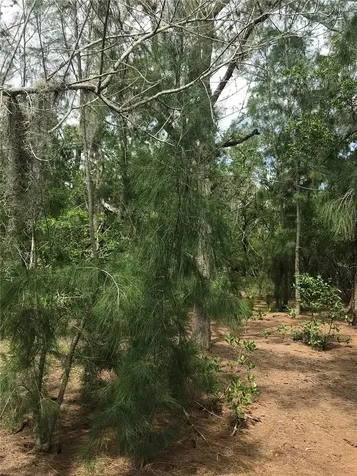1250 Beach Road Englewood FL 34223