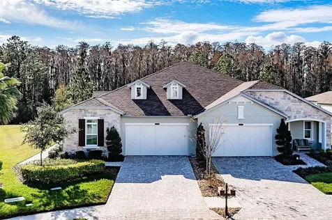 4121 Barletta Court Wesley Chapel FL 33543