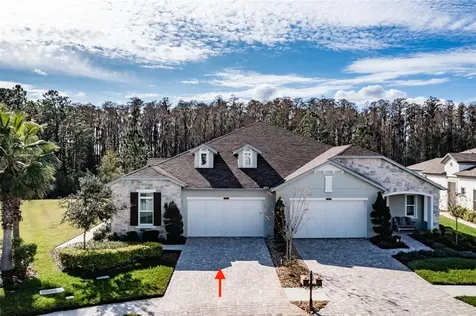 4121 Barletta Court Wesley Chapel FL 33543