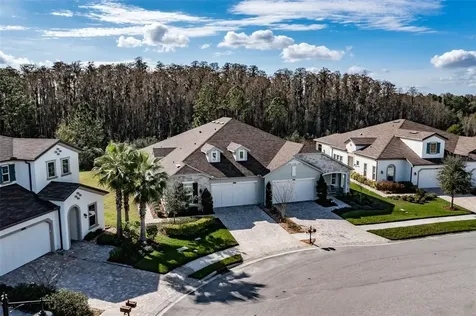 4121 Barletta Court Wesley Chapel FL 33543