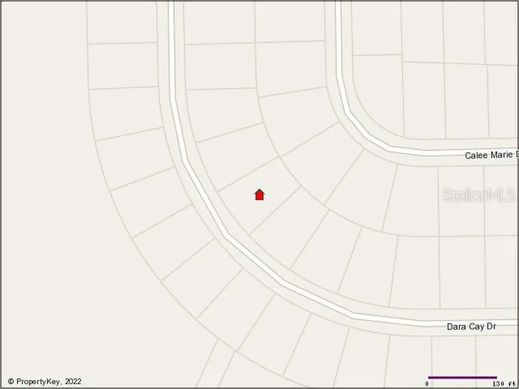 1121 Dara Cay Drive Kissimmee FL 34741