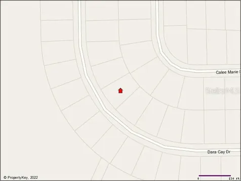 1121 Dara Cay Drive Kissimmee FL 34741