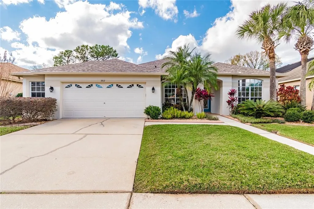 3917 Chaucer Way Land O Lakes FL 34639