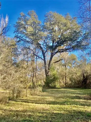 17072 217th Road Live Oak FL 32060