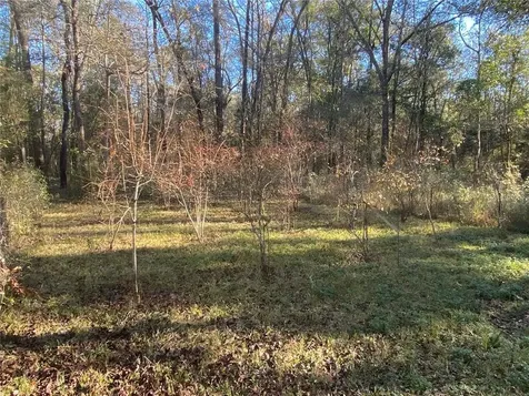 17072 217th Road Live Oak FL 32060