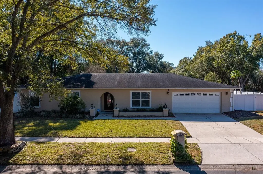 13323 Lake George Lane Tampa FL 33618