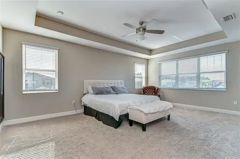 30963 Lindentree Drive Wesley Chapel FL 33543