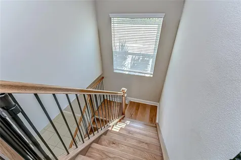 30963 Lindentree Drive Wesley Chapel FL 33543