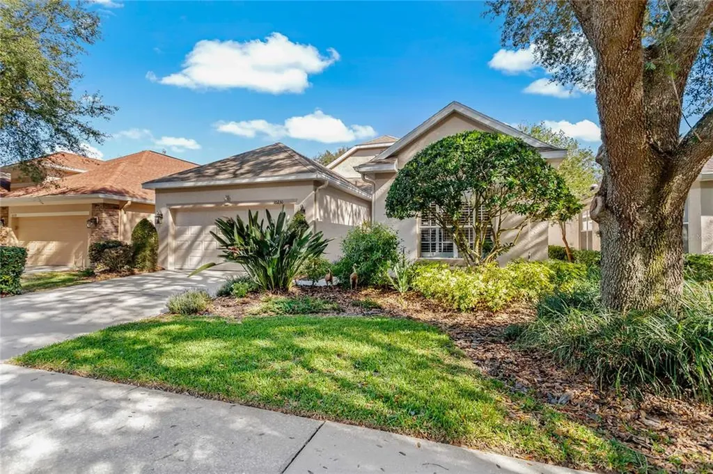 10230 Evergreen Hill Drive Tampa FL 33647