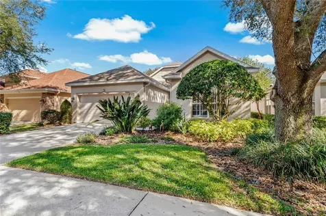 10230 Evergreen Hill Drive Tampa FL 33647