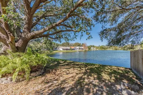 4529 Cedarwood Village Drive Tampa FL 33624