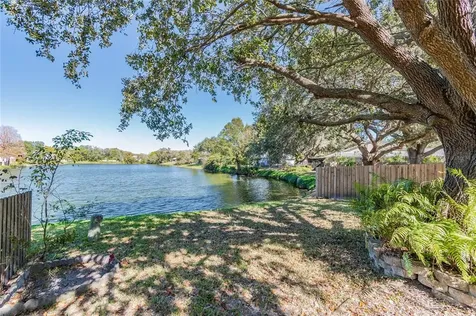 4529 Cedarwood Village Drive Tampa FL 33624