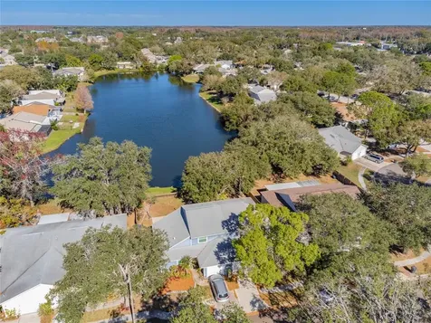 4529 Cedarwood Village Drive Tampa FL 33624