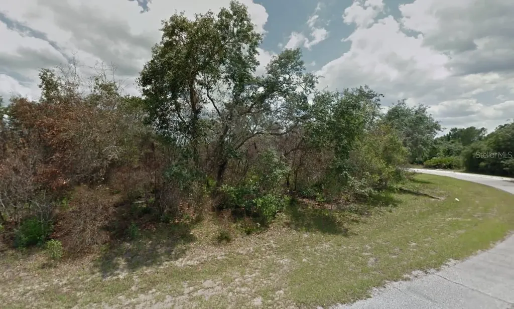 610 Mediterranean Court Poinciana FL 34759