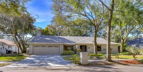 13908 Seaforth Manor Way Tampa FL 33613