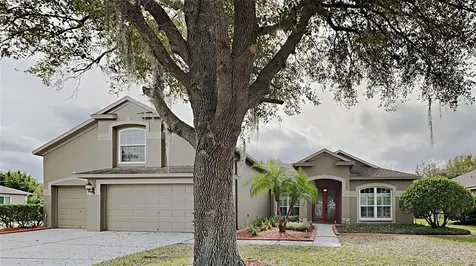 17717 Currie Ford Drive Lutz FL 33558