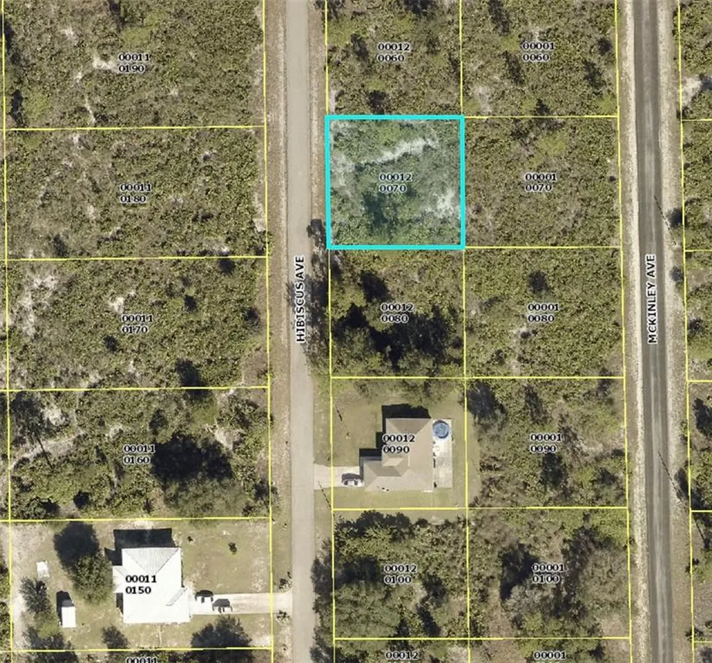 1610 Hibiscus Avenue Lehigh Acres FL 33972