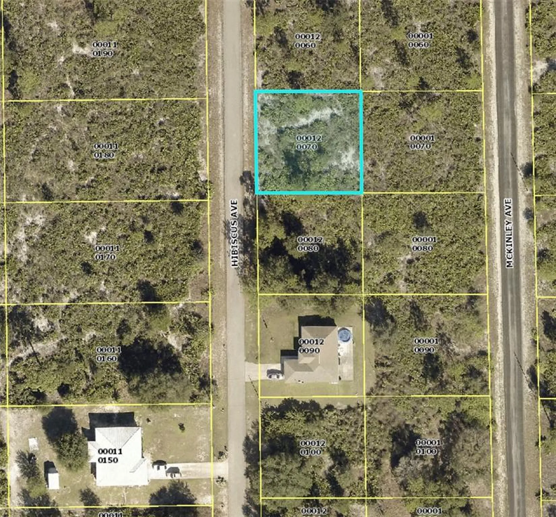 1610 Hibiscus Avenue Lehigh Acres FL 33972