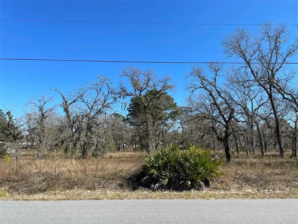 7197 S Threshold Point Homosassa FL 34446