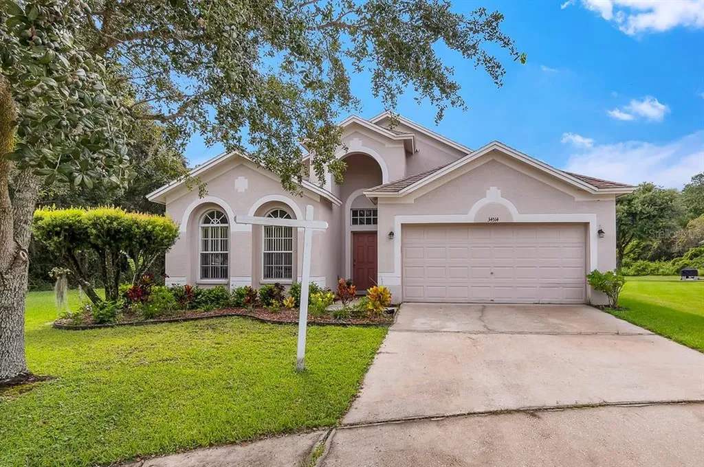 34514 Cliffcreek Court Wesley Chapel FL 33545