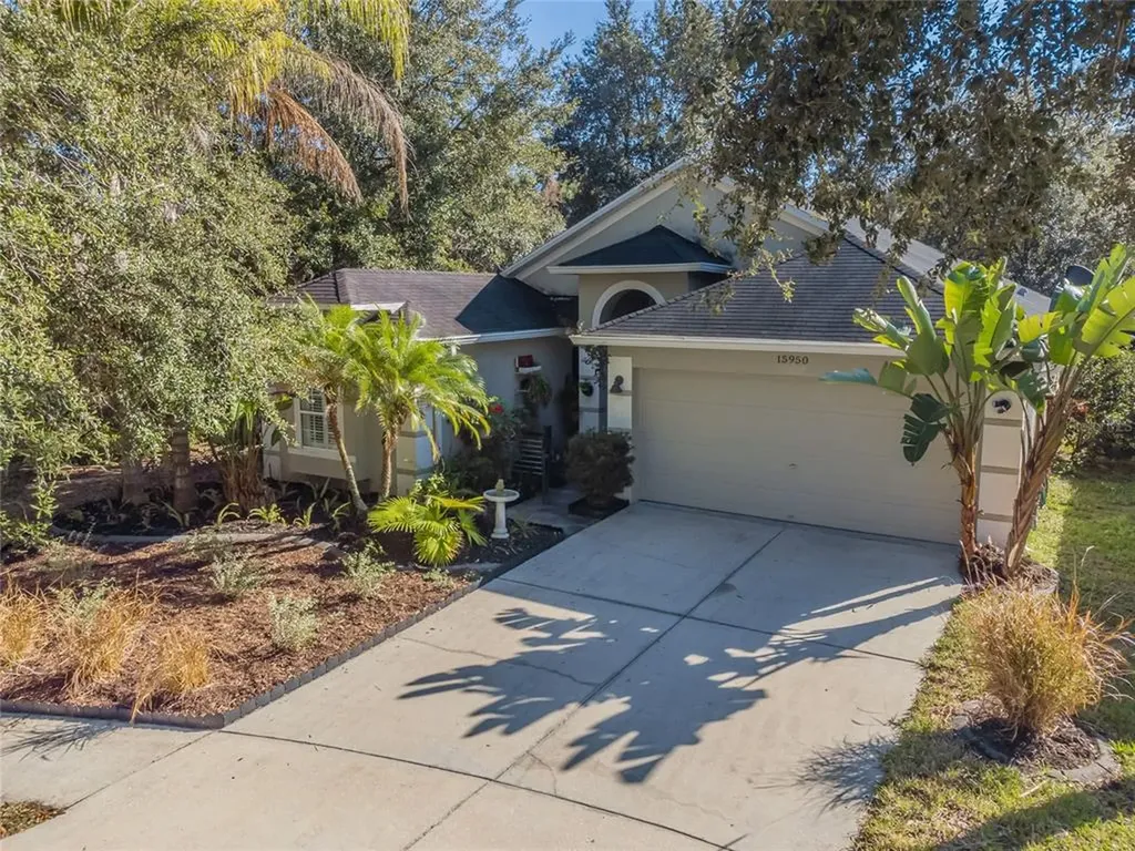 15950 Pond Rush Court Land O Lakes FL 34638