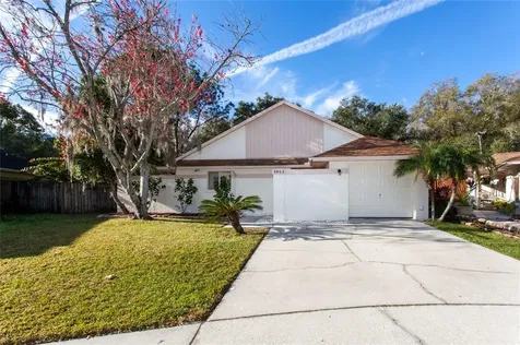 5953 Birchwood Drive Tampa FL 33625