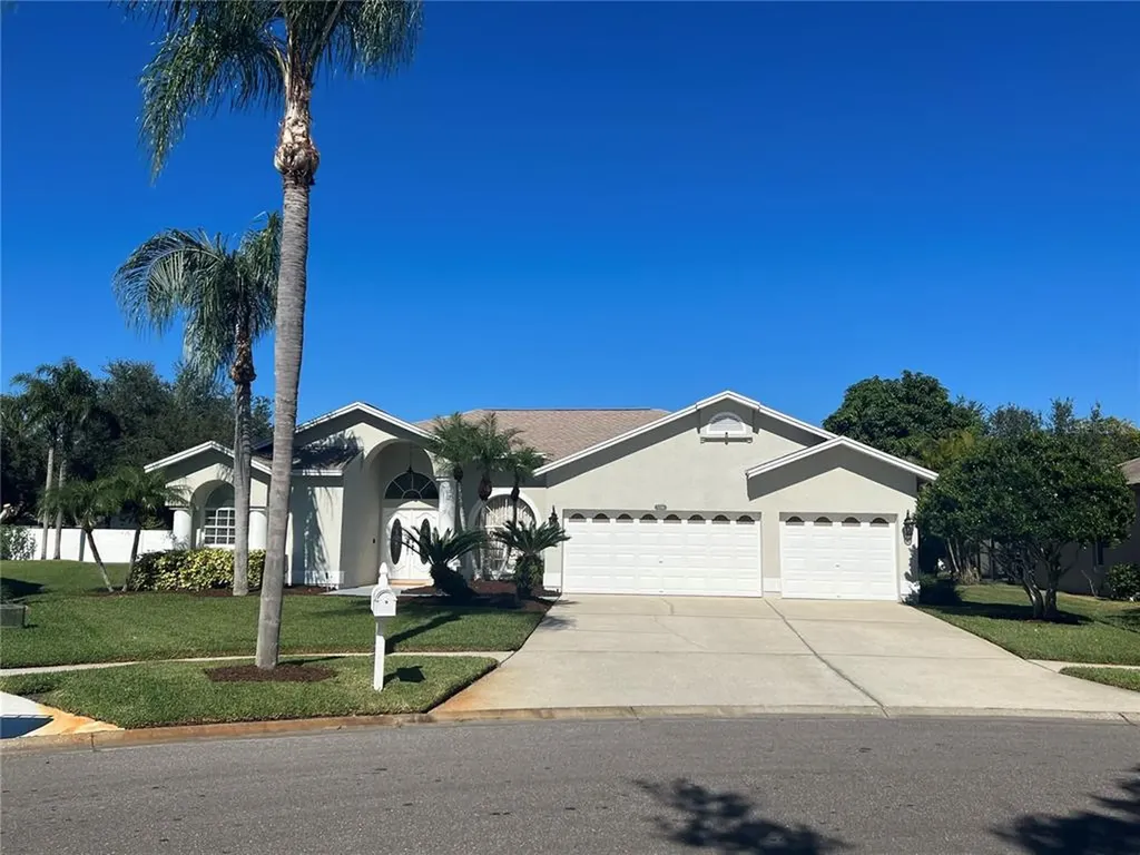 11306 Bloomington Drive Tampa FL 33635