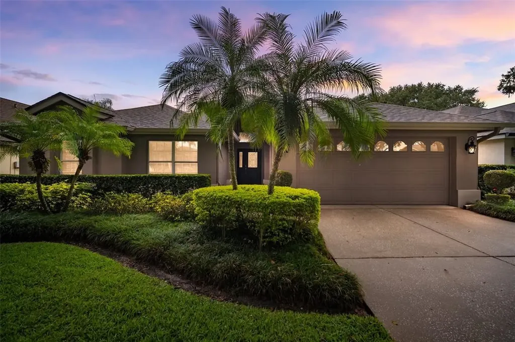 5415 Twin Creeks Drive Valrico FL 33596