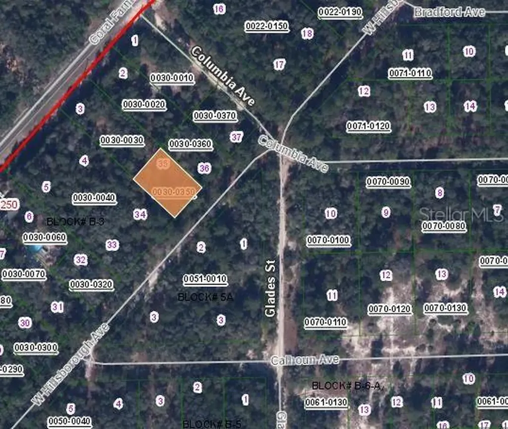 128 W Hillsborough Avenue Florahome FL 32140