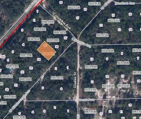128 W Hillsborough Avenue Florahome FL 32140