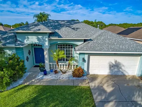 14821 Coral Berry Drive Tampa FL 33626