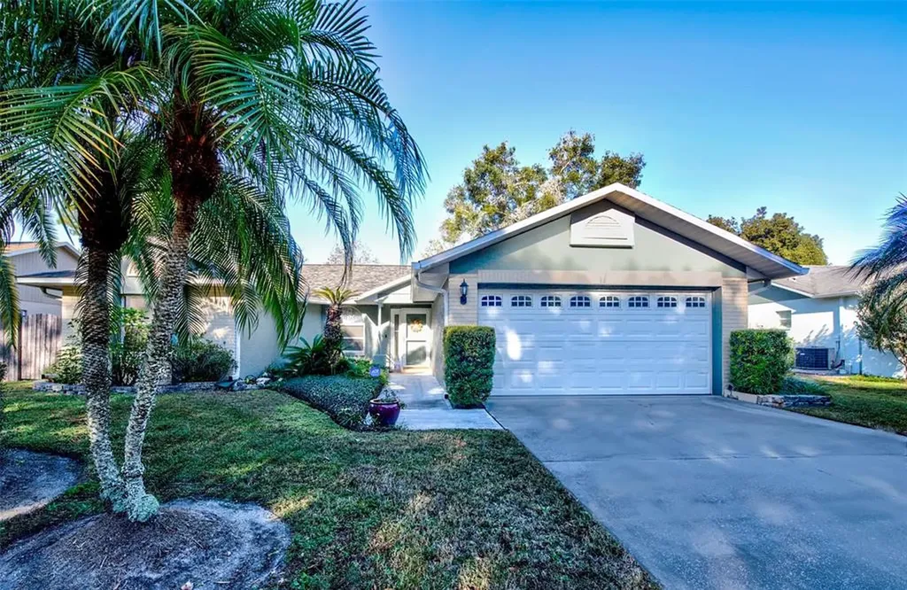 15134 Willowdale Road Tampa FL 33625