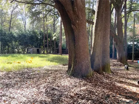 16305 NW 118th Place Alachua FL 32615