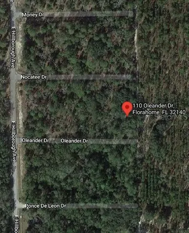 110 Oleander Drive Florahome FL 32140