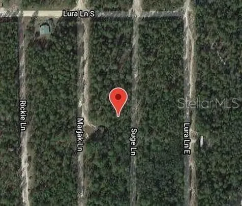 313 Suge Lane Florahome FL 32140