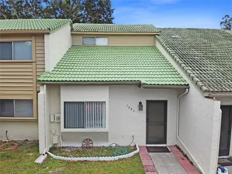 1205 S Park Avenue Winter Garden FL 34787