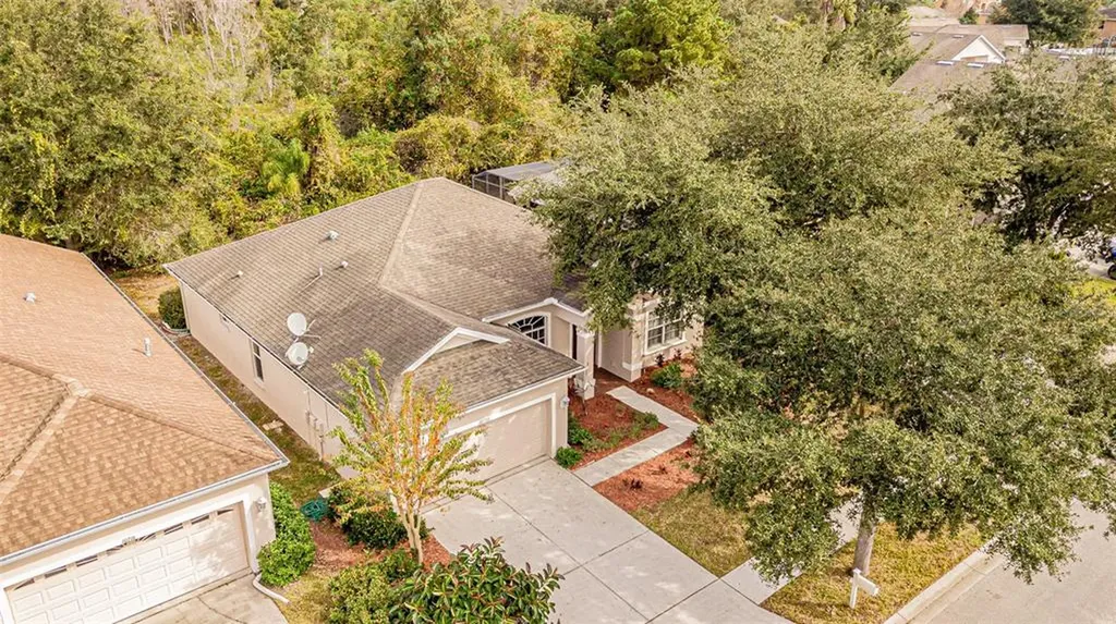 10710 Ribbon Fern Way Land O Lakes FL 34638
