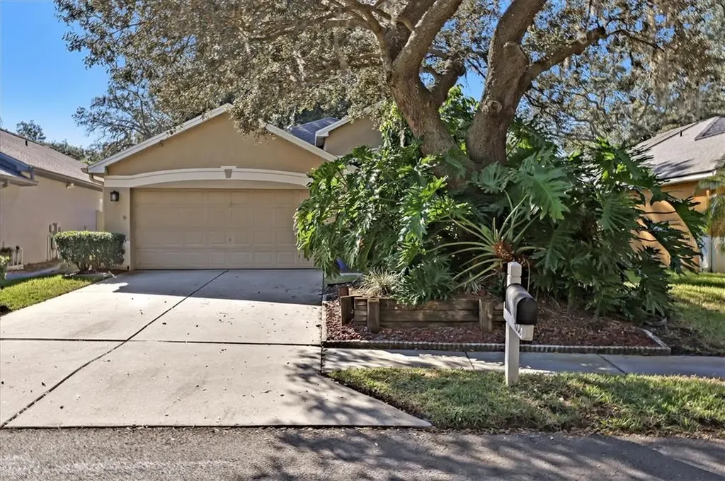 4708 Dunnie Drive Tampa FL 33614
