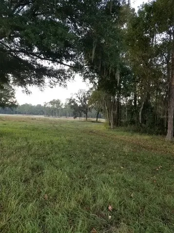 17485 Poyner Road N Polk City FL 33868