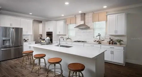 9817 Coneflower Court Land O Lakes FL 34637