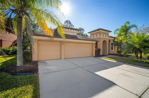10746 Rain Lilly Pass Land O Lakes FL 34638