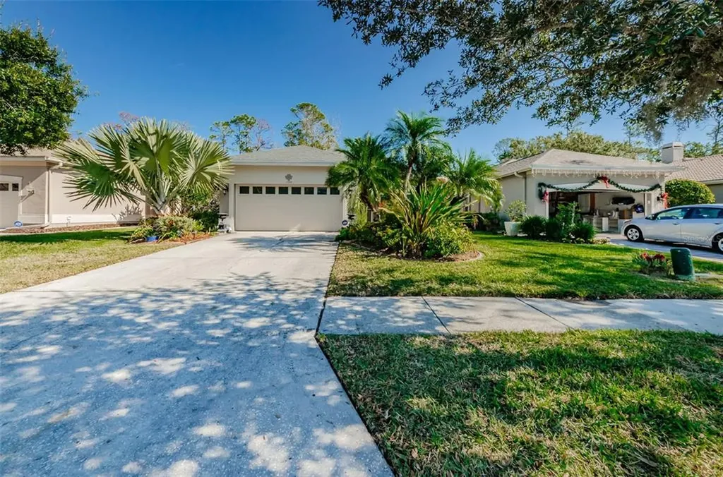 1537 Riverdale Drive Oldsmar FL 34677