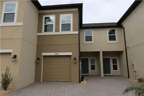 29909 Southwell Lane Wesley Chapel FL 33543